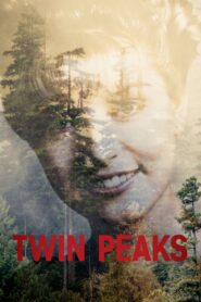 Miasteczko Twin Peaks ★ Cały Serial ★ Online ★ Gdzie Oglądać?