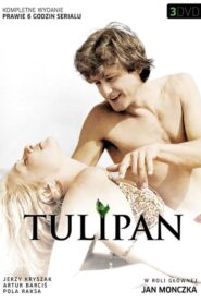Tulipan (1987) Cały Serial ★ Online ★ Gdzie Oglądać?