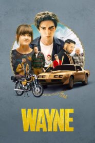 Wayne (2019) Cały Serial ★ Online ★ Gdzie Oglądać?