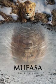 Mufasa: Król Lew ★ Cały Film ★ Online ★ Gdzie Oglądać?